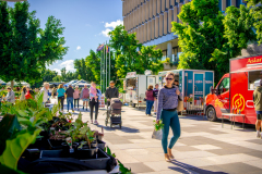 Markets-expos-and-more-in-The-Nicholas-Street-Precinct