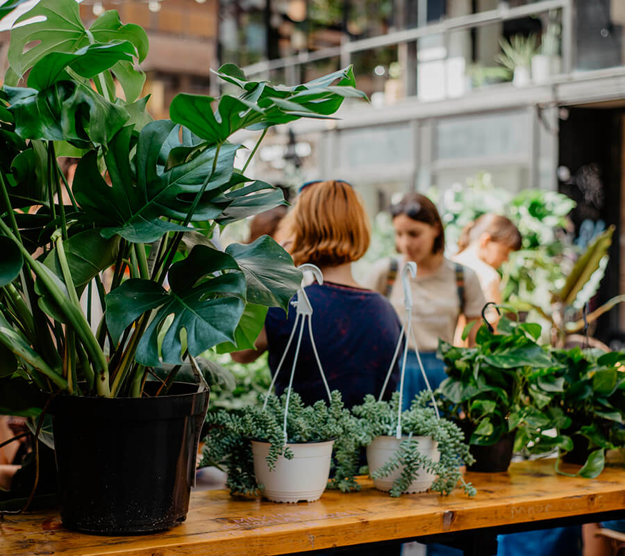 Garden Plant Fair (1)