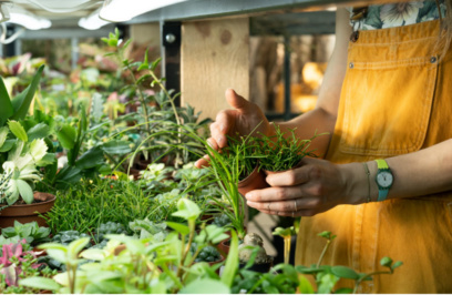 Hi Garden Plant Fair@2x