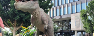Nsp Dino Discovery Mustdo 1000x667px 11