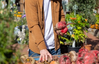 Individual,is,choosing,fresh,beets,at,a,lively,country,fair,